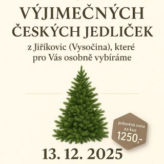 🎄✨ Vánoce se pomalu blíží a s nimi i naše oblíbená tradice V. Jedličkobraní – vánoční jedličky z Jiřikovic na Vysočině! 🌲...