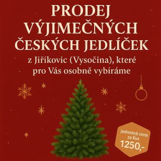 ✨ Máme ještě pár volných vánočních jedliček! ✨ Chcete mít letos doma pravou Jiříkovickou jedličku, kterou pro vás s láskou...